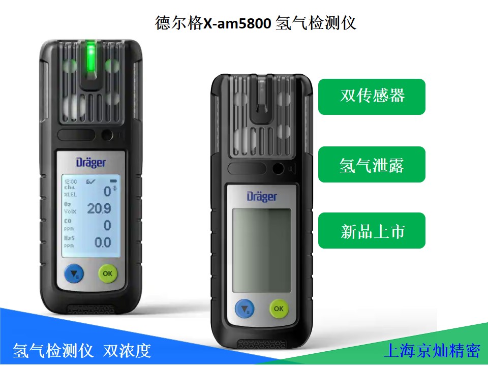 德國(guó)德?tīng)柛馲-am5800氫氣檢測(cè)儀 雙傳感器行業(yè)領(lǐng)跑者